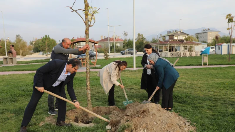 Van Tuşba'da Ekolojik Yaşam Vurgusu: 15 Temmuz Parkı'na Fidan Dikildi