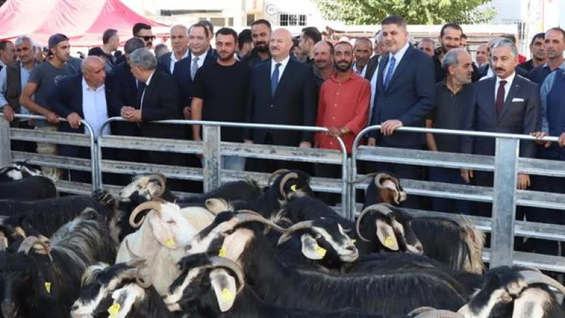 Adıyaman'da Küçükbaş Hayvancılığı Geliştirme Projesi: Gerger'de Damızlık Keçi Dağıtımı