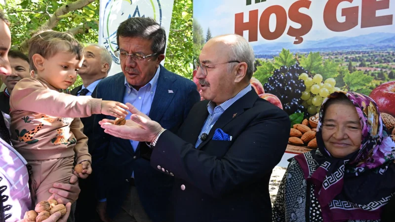 Denizli Valisi Köşger Çameli'de İncelemelerde Bulundu: Ceviz Hasadına Katıldı