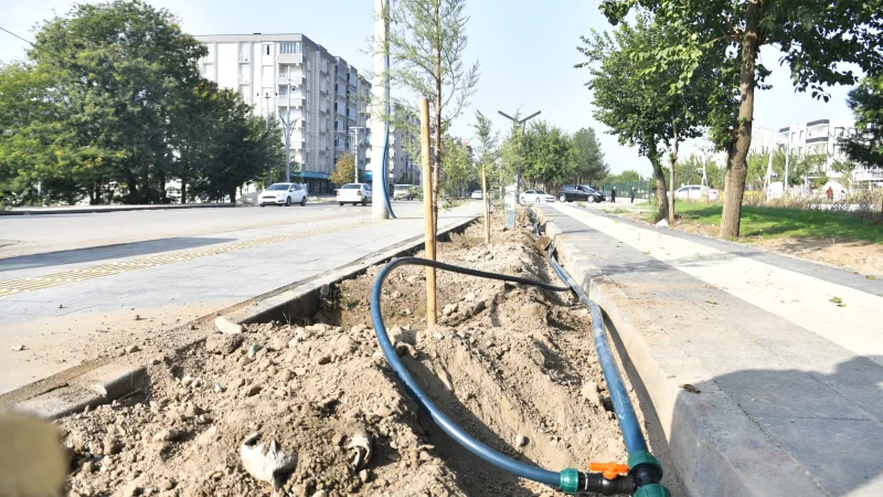 Bismil'de Sanayi Yürüyüş Yolu'ndaki Ağaçlar İçin Damlama Sulama Sistemi Kuruluyor