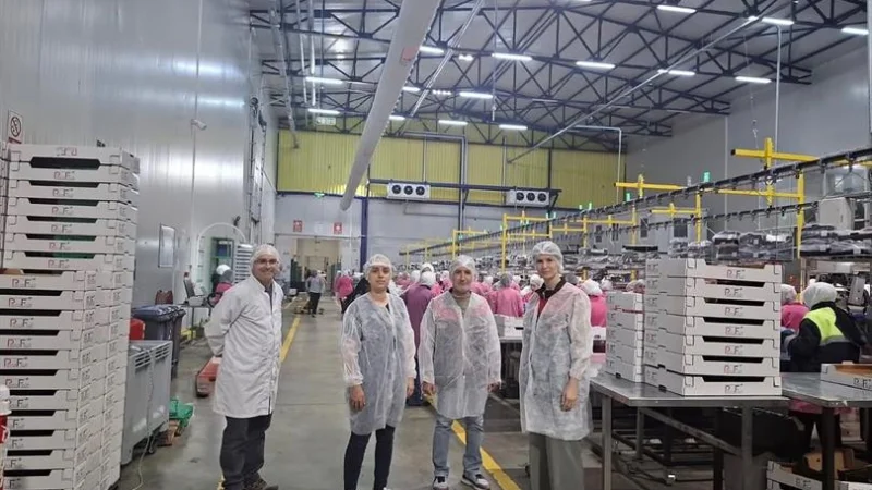Bursa'da İyi Tarım Uygulamaları İçin Denetimler Sıkılaştırıldı