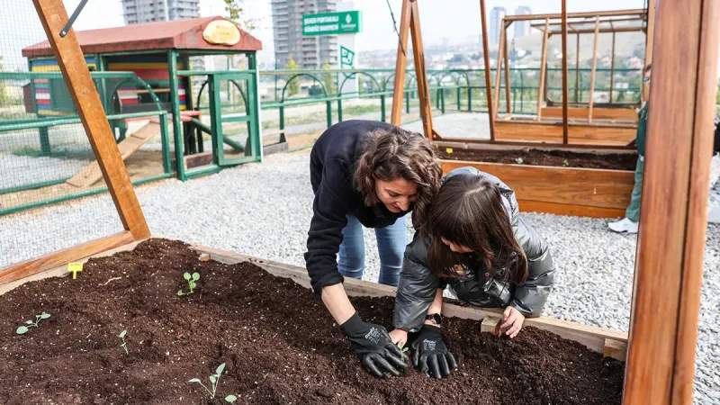 Çankaya'da Minik Öğrenciler Kışlık Sebze Fidelerini Toprakla Buluşturdu