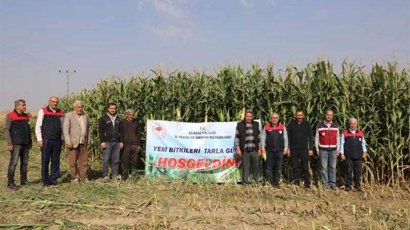 Elazığ'da Silajlık Mısır Hasadı Başladı: Üreticiye Milyonluk Destek