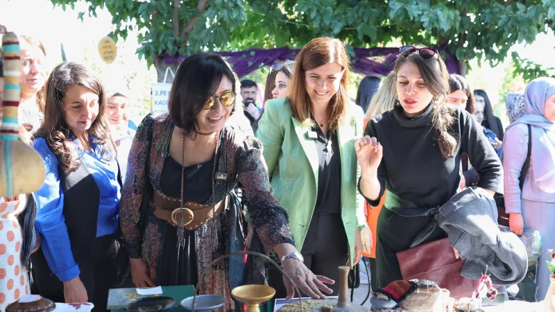 Kayapınar'da 3. Peyas Kadın Emek Buluşması ve Kültür Festivali Sona Erdi