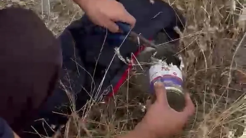Kayseri'de Kafası Konserveutusuna Sıkışan Kedi İtfaiye Tarafından Kurtarıldı