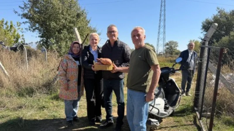 Seydişehir'de İlk Kez Tatlı Patates Üretimi Gerçekleştirildi
