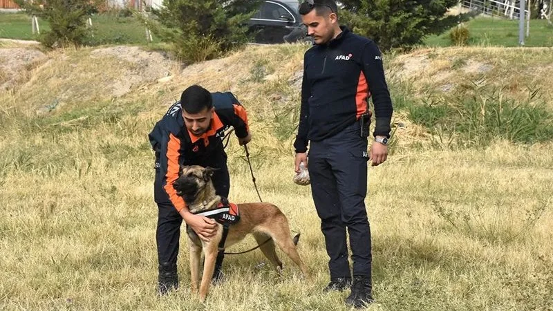 Van'da Arama Kurtarma Köpekleri Afetlere Özel Eğitimlerle Hazırlanıyor