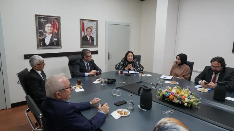 Avcılar'da Karbonmonoksit Zehirlenmelerine Karşı Koordinasyon Toplantısı