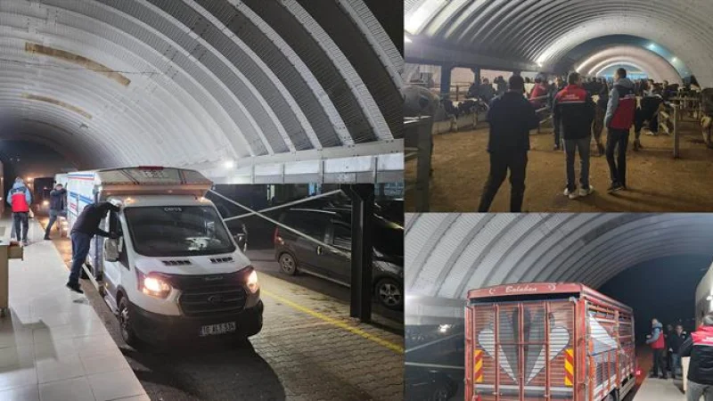 Balıkesir'de Hayvan Pazarlarında Sıkı Denetim