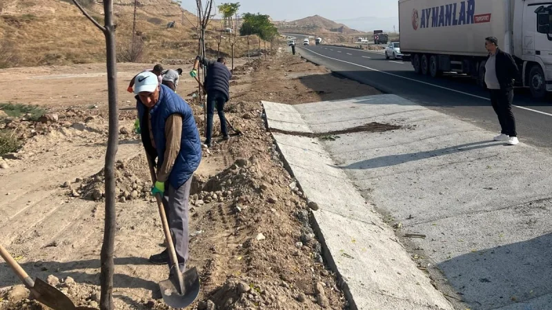 Batman'da Yeşil Kuşak Projesi Kapsamında Sonbahar Fidan Dikimi Başladı