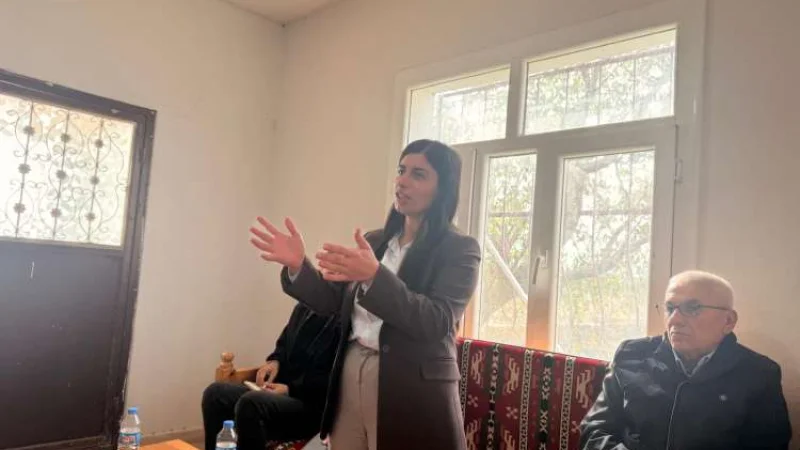 Diyarbakır'ın Çınar İlçesinde Halk Buluşması Gerçekleşti