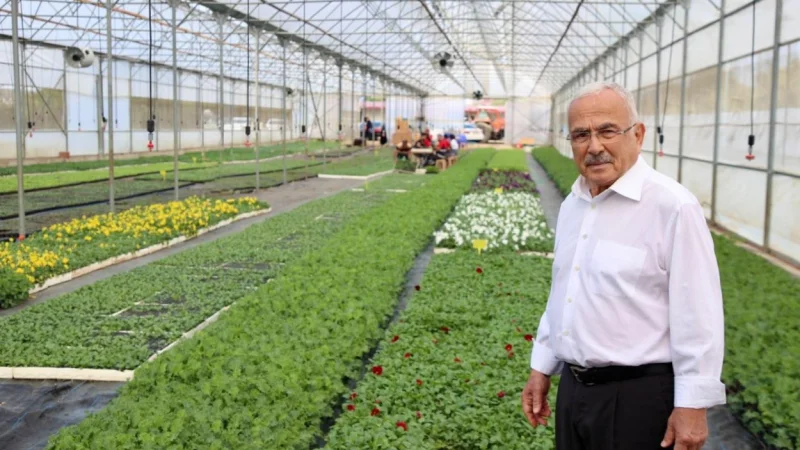 Ordu Büyükşehir Belediyesi Sera Üretimiyle Kent Estetiğini Güçlendiriyor