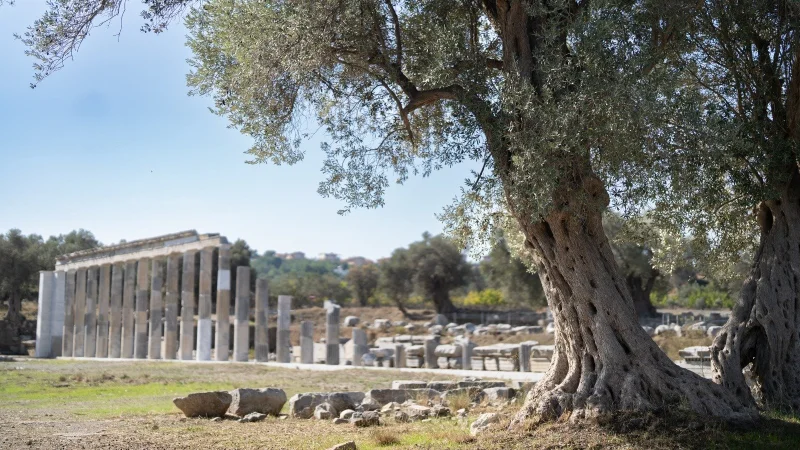 Teos Antik Kenti Kazılarıyla 2 bin 200 yıllık tarih gün yüzüne çıkıyor