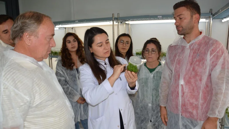 BAÇEM’in Bitki Doku Kültürü Kursu Türkiye'nin Dört Bir Yanından İlgi Gördü