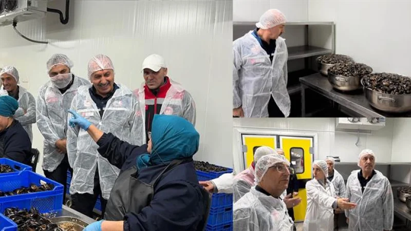 Balıkesir'de Midye Üretim Tesislerine Yerinde Denetim ve İnceleme