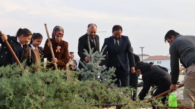 Çankırı'da Çocuklar Geleceğe Nefes Olmak İçin Fidan Dikti
