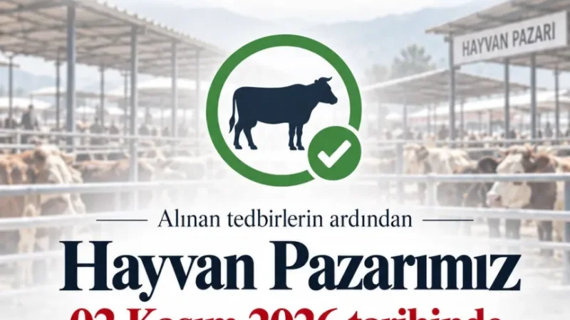 Acıpayam Canlı Hayvan Pazarı 3 Kasım'da Yeniden Açılıyor