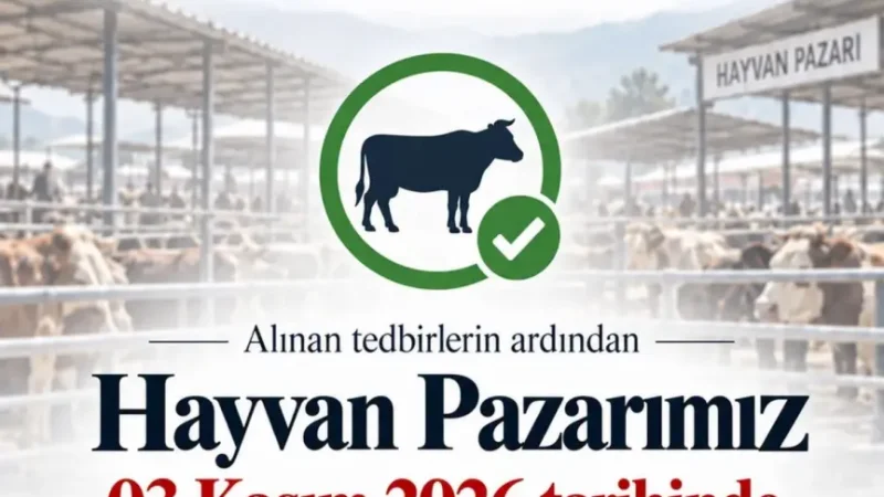 Acıpayam Canlı Hayvan Pazarı 3 Kasım'da Yeniden Açılıyor