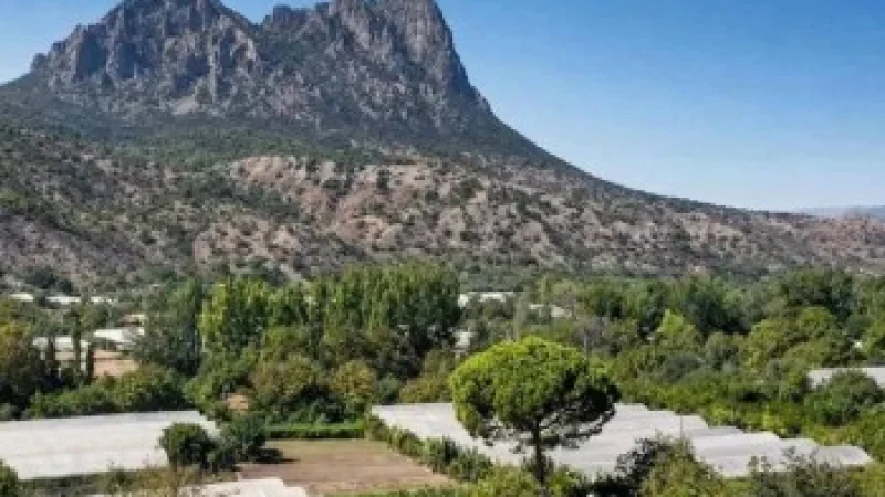 Alpagut-Atalan Altın-Gümüş Madeni Projesi İçin Yürütmeyi Durdurma Kararı