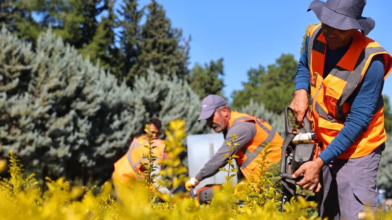 Antalya'da COP31 Zirvesi İçin Yoğun Hazırlık Mesaisi