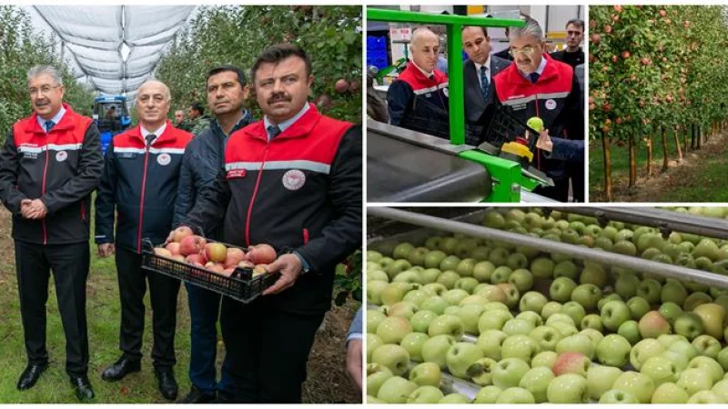 Eskişehir'de Modern Meyvecilik Yatırımları İhracat Kapılarını Aralıyor