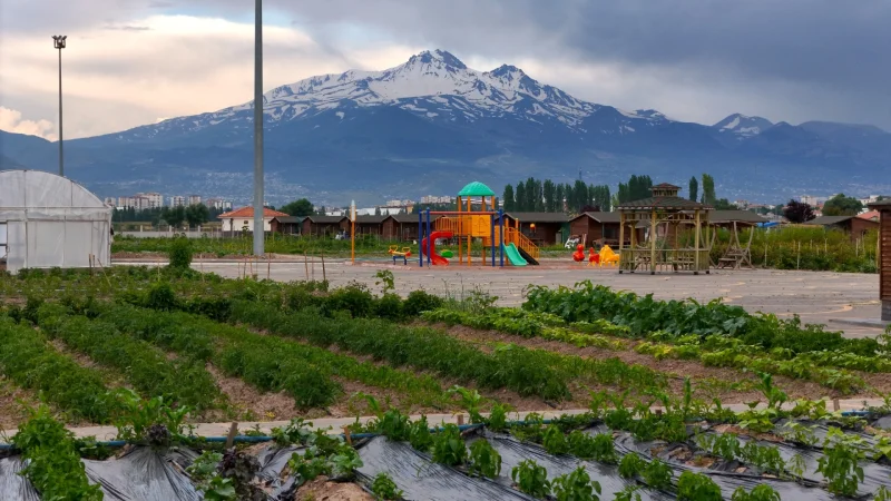 Kayseri'de Pınarbaşı Kimyonunun Üretimi ve Tanıtımı İçin Yeni Adım