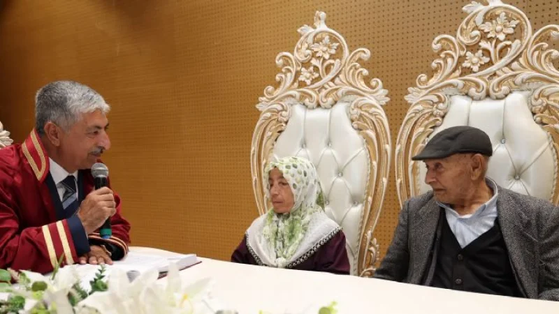 Dilovası'nda Asırlık Çınarların Nikâhı Kıyıldı